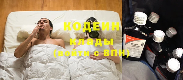 первитин Новодвинск