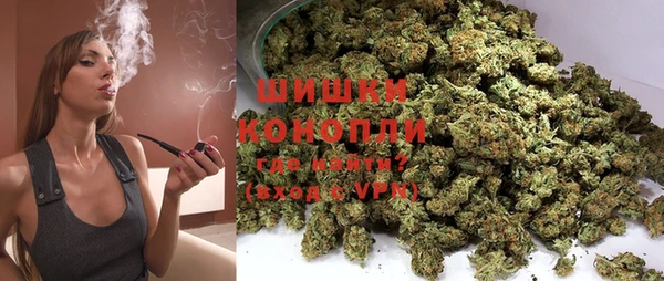 каннабис Новозыбков