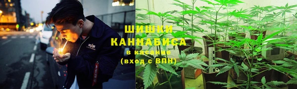 каннабис Новозыбков